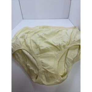 Delta Burke Ladies Briefs Size 10 2X Beige Set of 3 Panties 100% Cotton